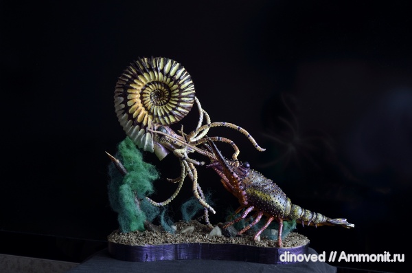 аммониты, юра, волжский ярус, ракообразные, палеоарт, реконструкции, Ammonites, Dorsoplanitidae, Paracraspedites