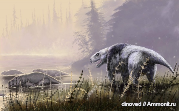 пермь, палеоарт, Megawhaitsia, Дицинодонты