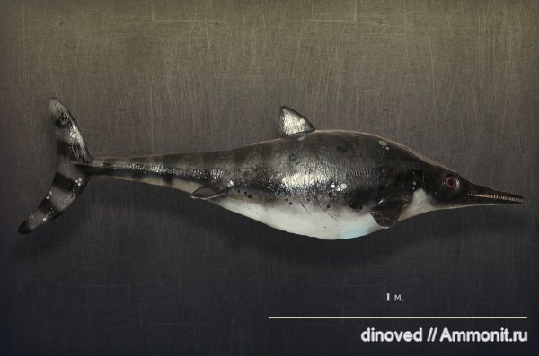 ихтиозавры, юрский период, палеоарт, волжский век, Paraophthalmosaurus, Параофтальмозавр