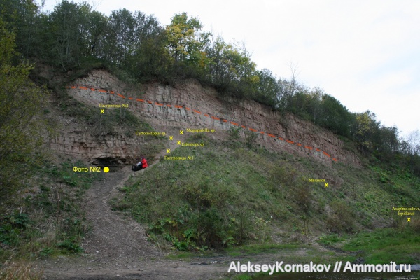 ордовик, Ленинградская область, р. Поповка, Ordovician