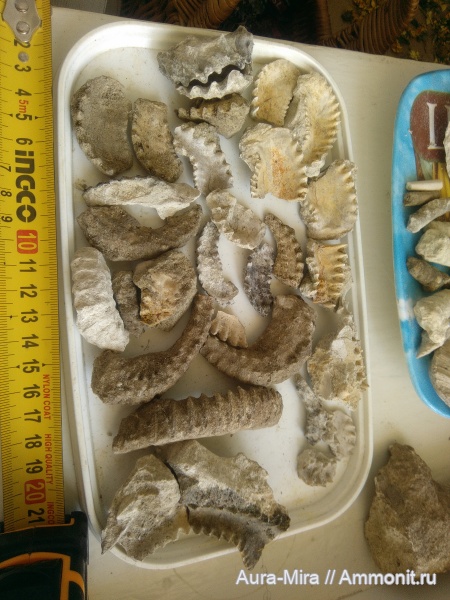 карьер Скалистое 1