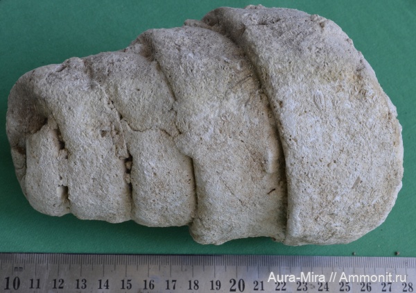 Симферополь, Петровские высоты