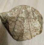 гора Ахун