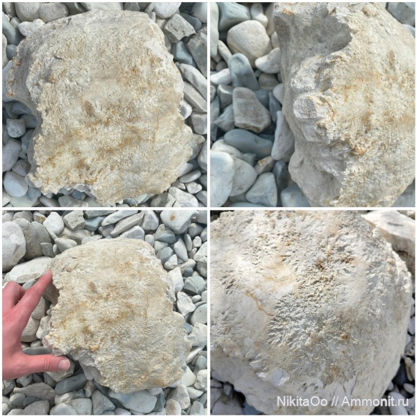 Меловые берега Климовки-Новодевичья