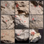 Гастроподовый камень