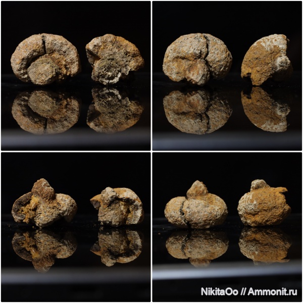 верхняя юра, неопознанное, Upper Jurassic