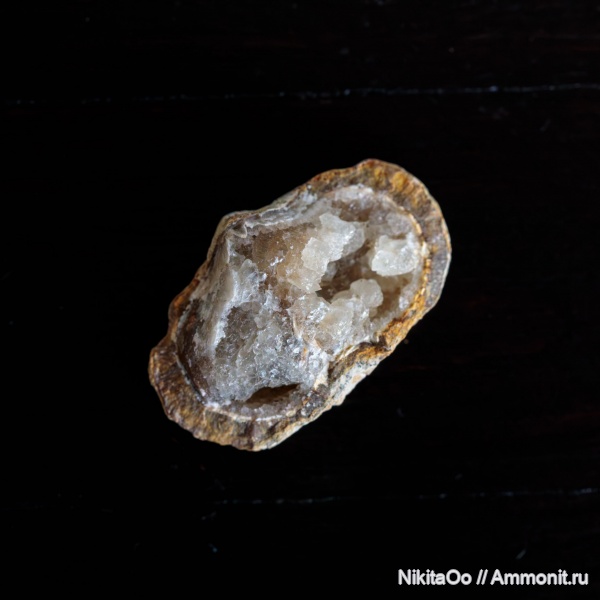 брахиоподы, пермский период, казанский ярус