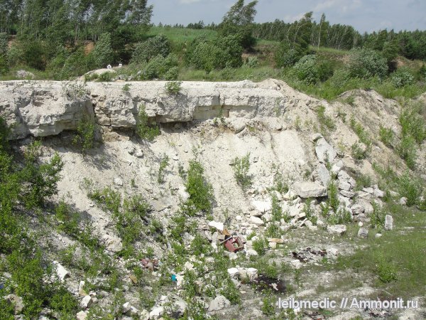 карбон, палеозой, Подмосковье