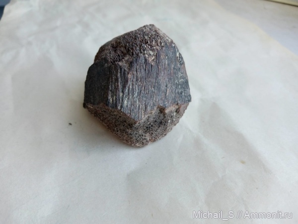 Места находок