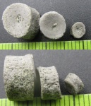 Три позвонка Dipnoi