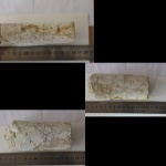 Большой бакулит. Гродненские меловые карьеры