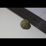 Гастропода №1, помогите с классификацией