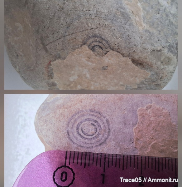 Странная находка в реке Якорная щель