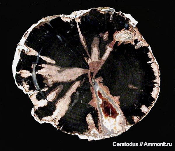 Green River Formation, Blue Forest, Вайоминг, Eden Valley