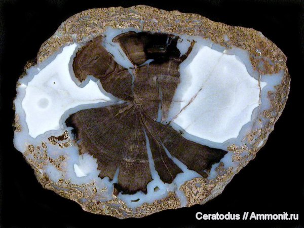 Green River Formation, Blue Forest, Вайоминг, Eden Valley