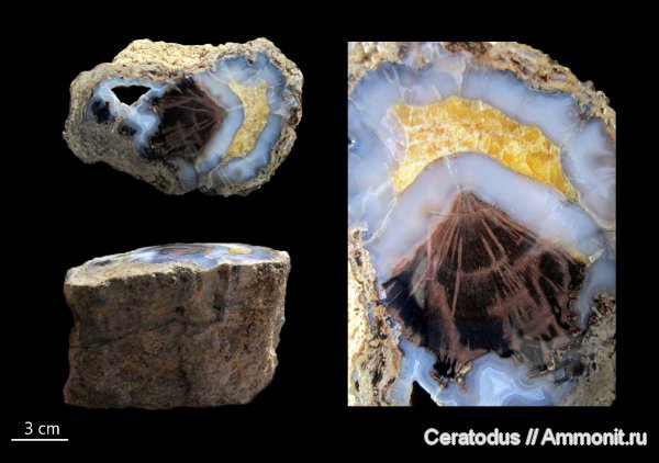 Blue Forest, Вайоминг, Eden Valley