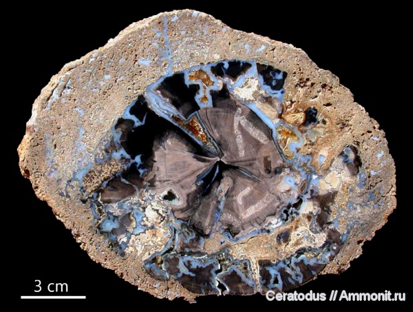 Blue Forest, Вайоминг, Eden Valley