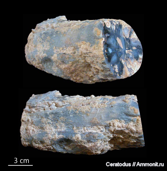 Blue Forest, Вайоминг, Eden Valley