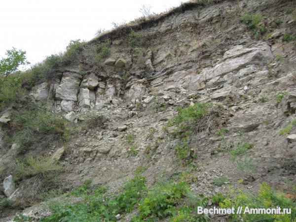 местонахождения, Кашпир