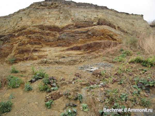 местонахождения