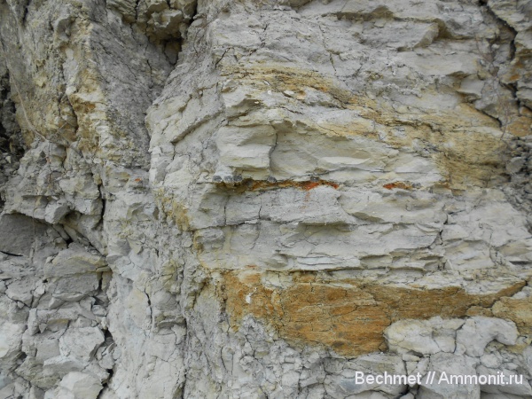 ихтиозавры, мезозойская эра