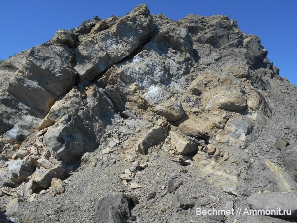 аммониты, юрский период, волжский ярус