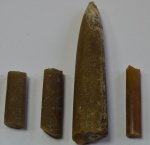 Окаменелость #13