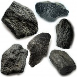 Кусочек чего-то зубастого... (и с запашком)