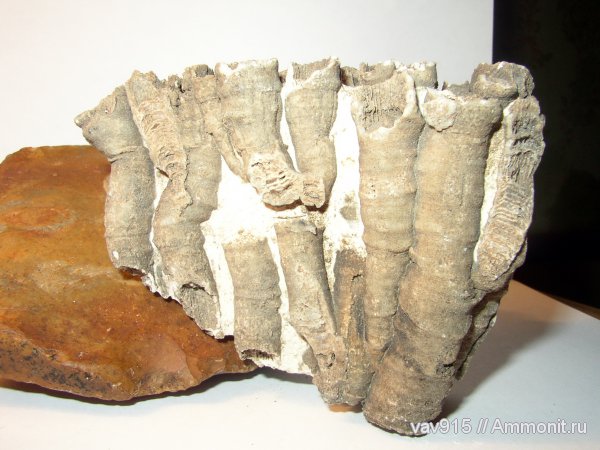 Наковырял на даче