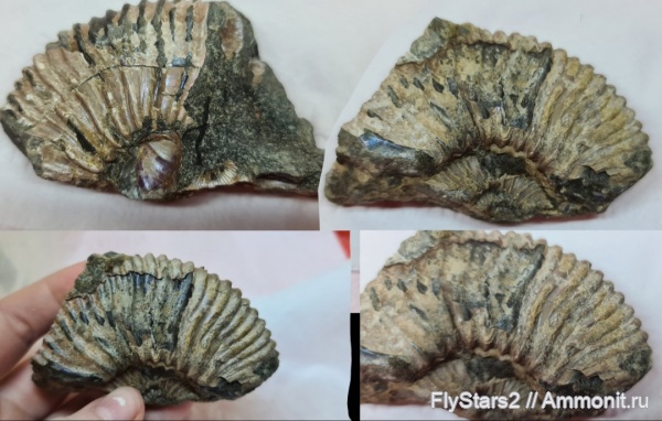 Фотовопросы