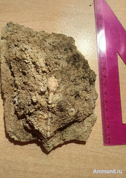 Карьер Пески