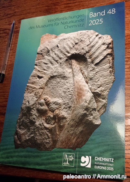 Германия, Хемниц, Яйца акулы, Fayolia sterzeliana, Ископаемое года