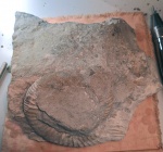 1. Исходный известняковый блок