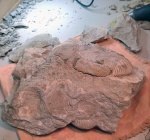 3. Расширение зоны препаровки