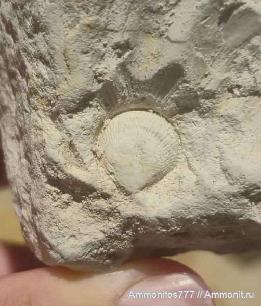 Мои Находки