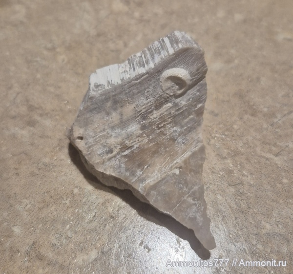 мел, мезозой, верхний мел, Определение