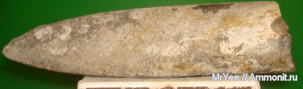 Щёлковский доломитовый карьер.