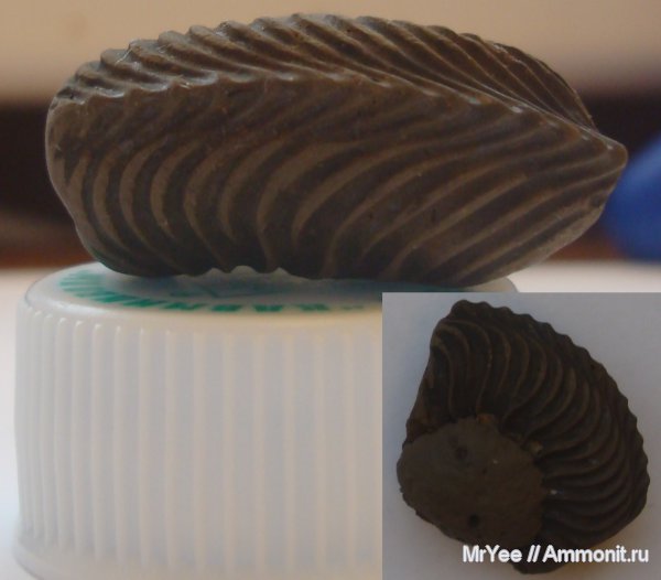 Коломенское