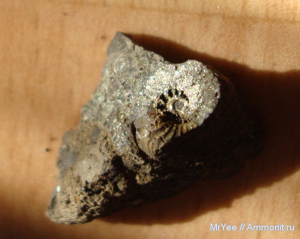 Щёлковский карьер