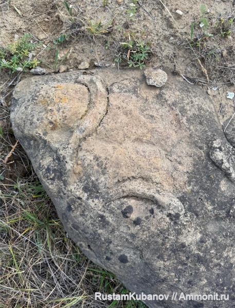 юрский период, Карачаево-Черкессия, Кавказ, Усть-Джегутинский район