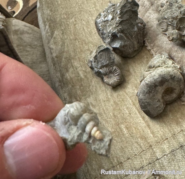 юрский период, Усть-Джегутинский район