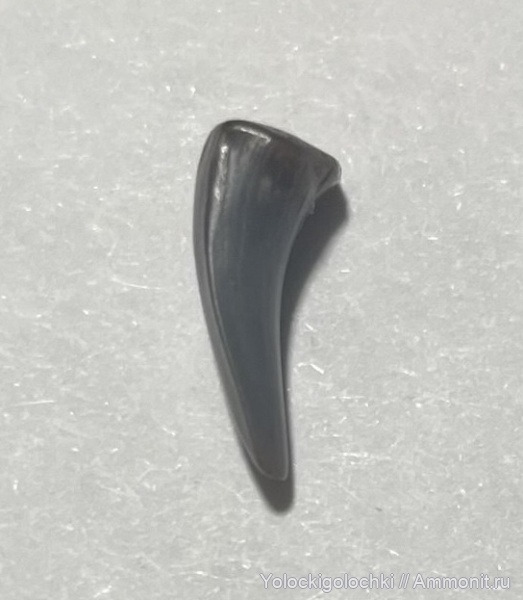 Ундоры, Ульяновская область