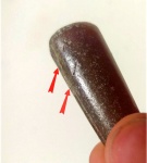 Следы зубов хищника