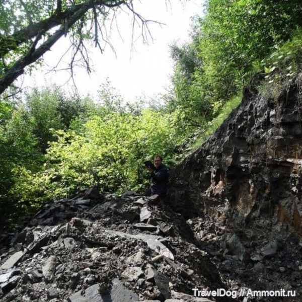 кимеридж, р. Унжа, Костромская область