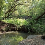 Шмелевка какой она запомнилась летом