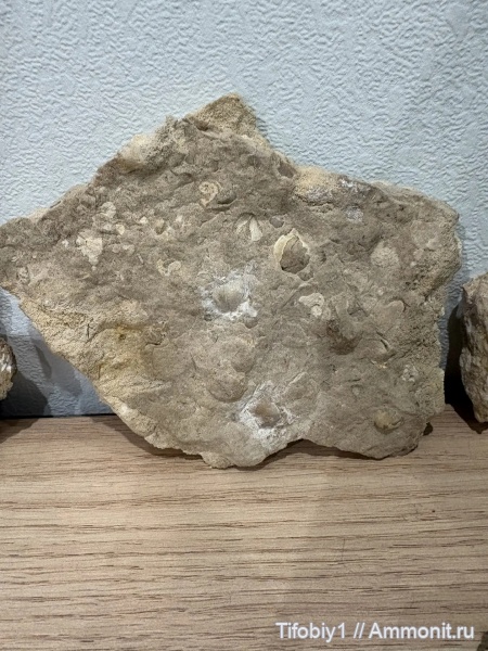 Панно с брашками