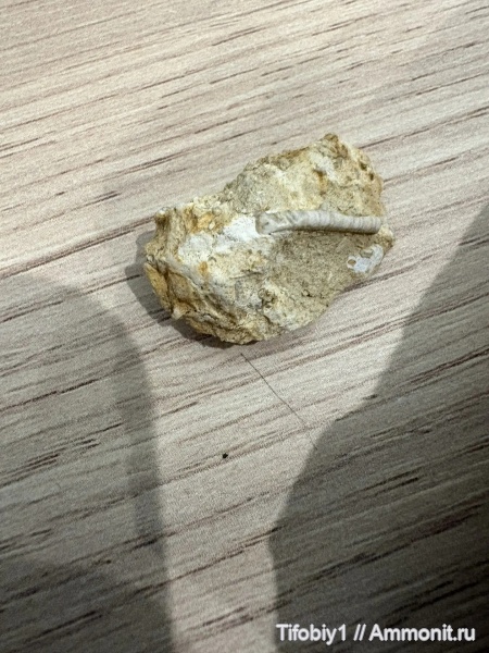 На определение