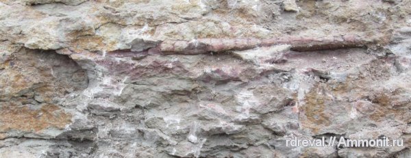 поездка на волхов 3