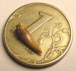 чей-то зубик