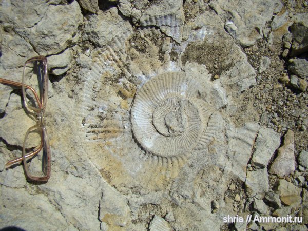 юра, Оренбургская область, Jurassic